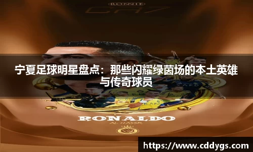 宁夏足球明星盘点：那些闪耀绿茵场的本土英雄与传奇球员